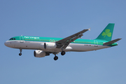 Aer Lingus Airbus A320-214 (EI-DVJ) at  London - Heathrow, United Kingdom