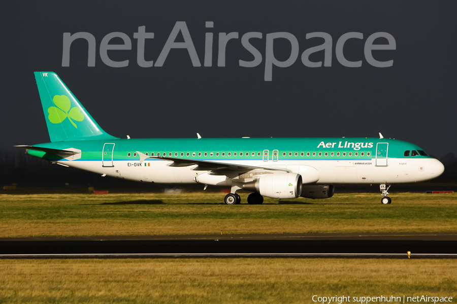 Aer Lingus Airbus A320-214 (EI-DVK) | Photo 129679