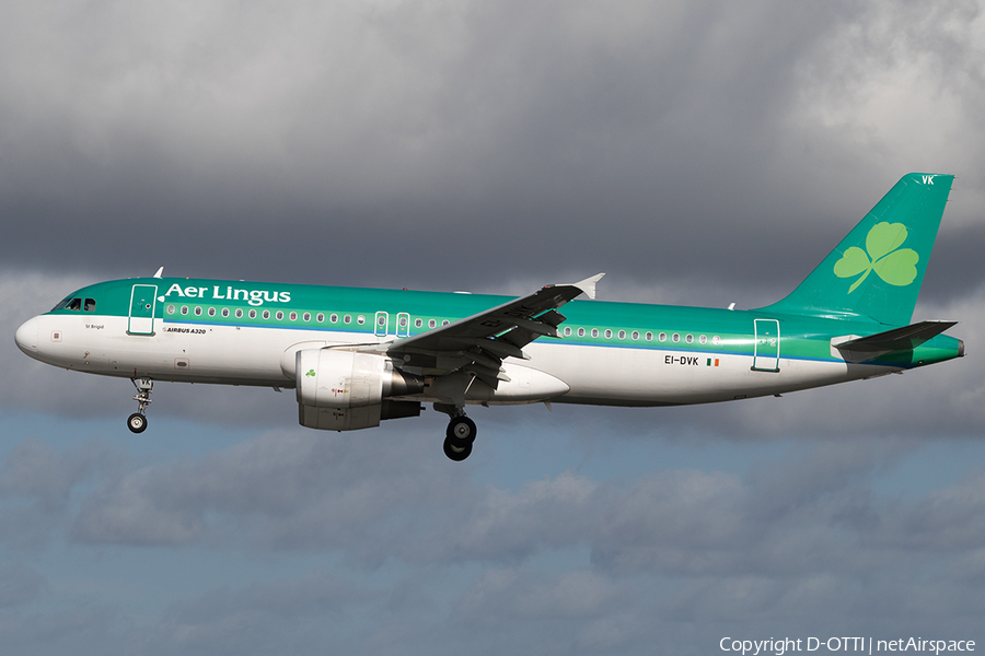 Aer Lingus Airbus A320-214 (EI-DVK) | Photo 149744