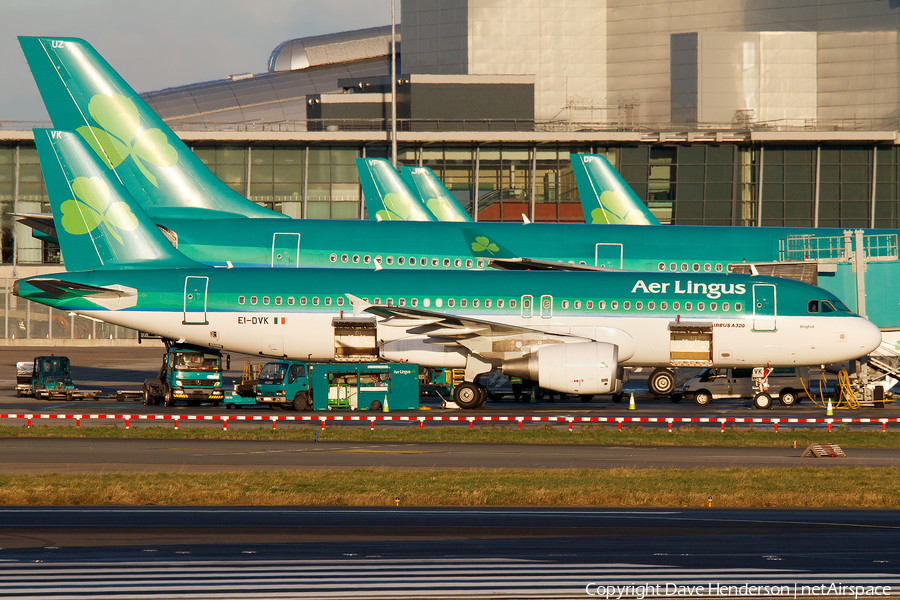 Aer Lingus Airbus A320-214 (EI-DVK) | Photo 15366