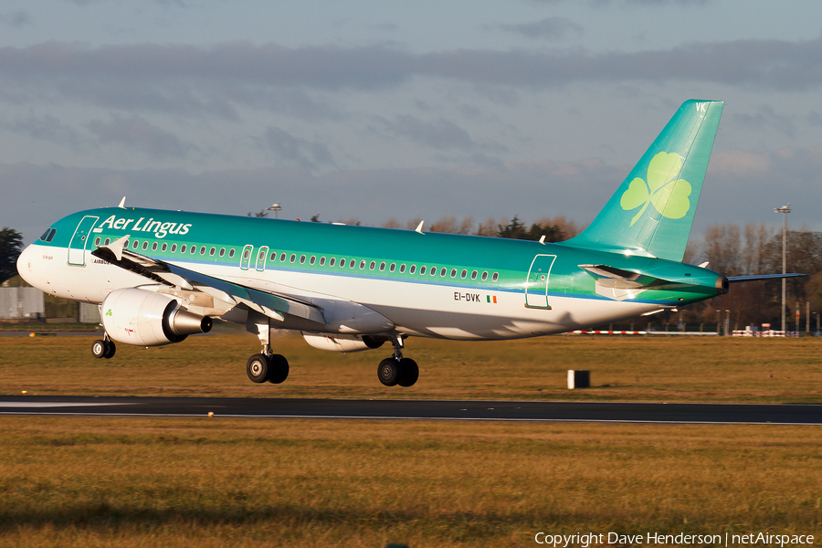 Aer Lingus Airbus A320-214 (EI-DVK) | Photo 15382
