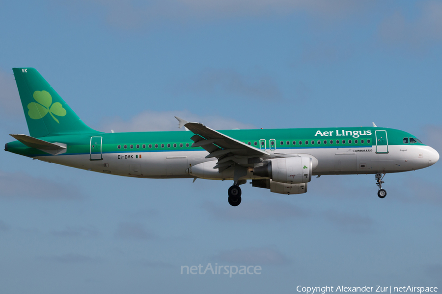 Aer Lingus Airbus A320-214 (EI-DVK) | Photo 162322