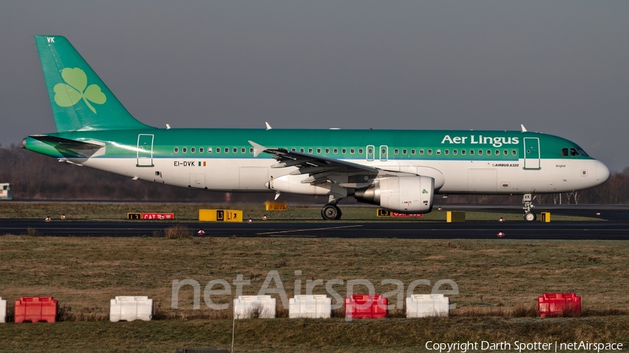 Aer Lingus Airbus A320-214 (EI-DVK) | Photo 234112