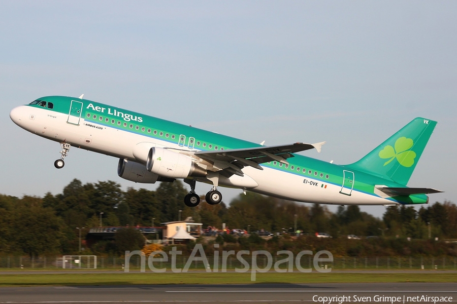 Aer Lingus Airbus A320-214 (EI-DVK) | Photo 15772