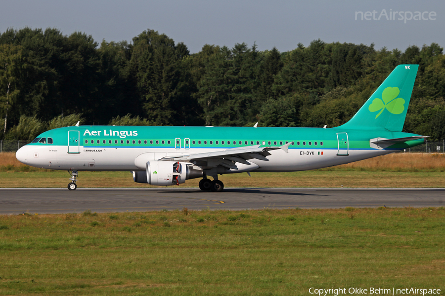 Aer Lingus Airbus A320-214 (EI-DVK) | Photo 37402