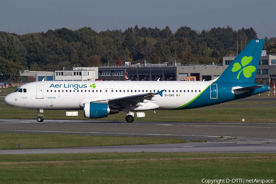 Aer Lingus Airbus A320-214 (EI-DVK) | Photo 530843