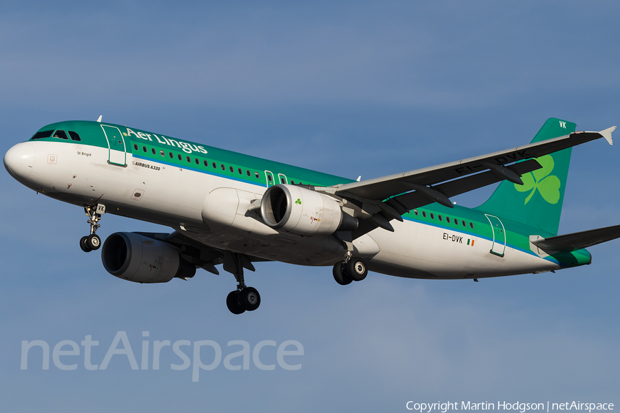 Aer Lingus Airbus A320-214 (EI-DVK) | Photo 131099