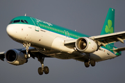 Aer Lingus Airbus A320-214 (EI-DVK) at  London - Heathrow, United Kingdom