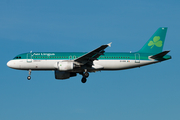 Aer Lingus Airbus A320-214 (EI-DVK) at  London - Heathrow, United Kingdom