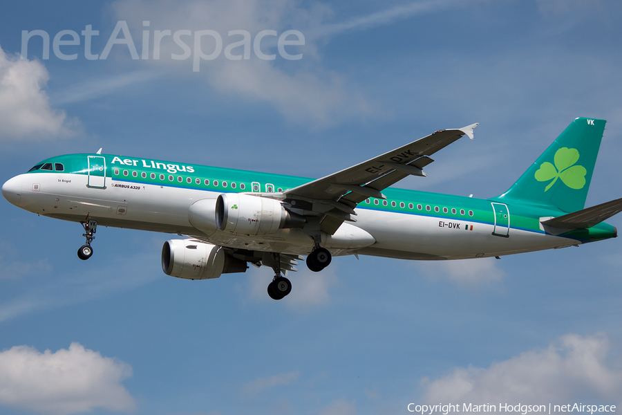 Aer Lingus Airbus A320-214 (EI-DVK) | Photo 49870