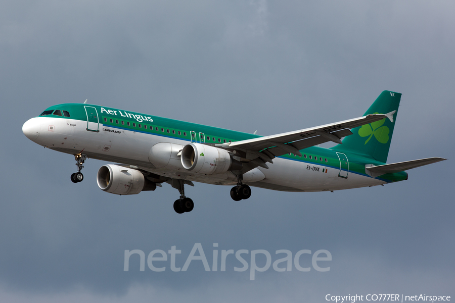 Aer Lingus Airbus A320-214 (EI-DVK) | Photo 52677