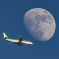 Aer Lingus Airbus A320-214 (EI-DVK) at  Gran Canaria, Spain