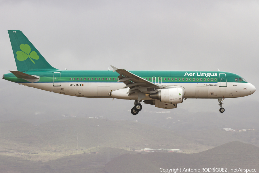 Aer Lingus Airbus A320-214 (EI-DVK) | Photo 150087