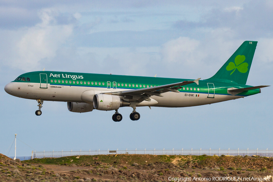 Aer Lingus Airbus A320-214 (EI-DVK) | Photo 339951