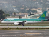 Aer Lingus Airbus A320-214 (EI-DVL) at  Malaga, Spain