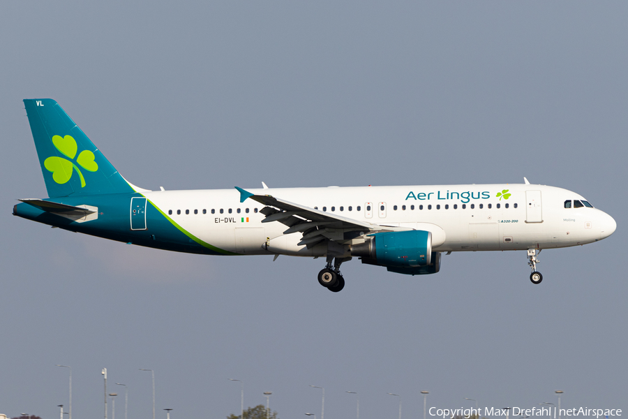 Aer Lingus Airbus A320-214 (EI-DVL) | Photo 505459