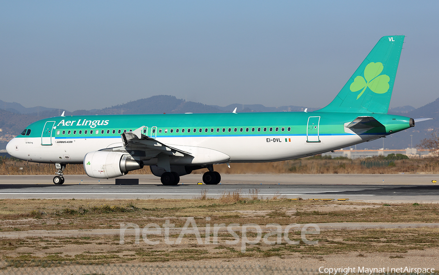 Aer Lingus Airbus A320-214 (EI-DVL) | Photo 245825