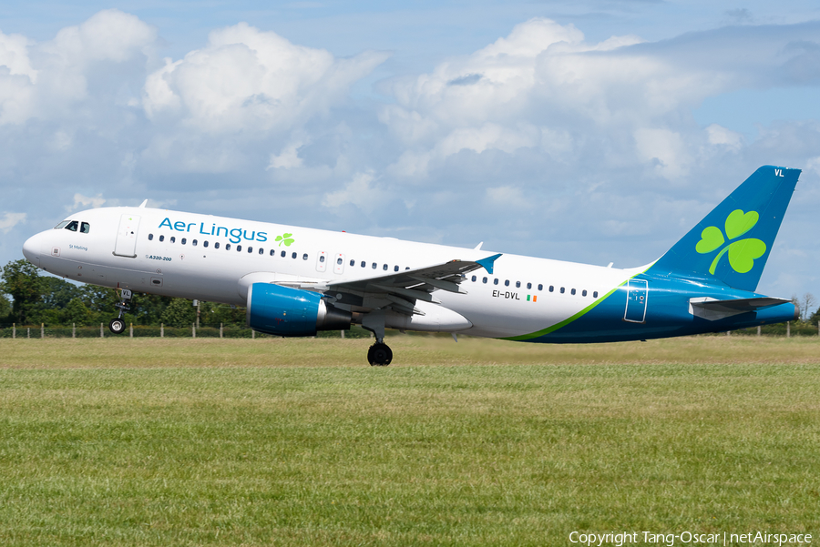 Aer Lingus Airbus A320-214 (EI-DVL) | Photo 518693