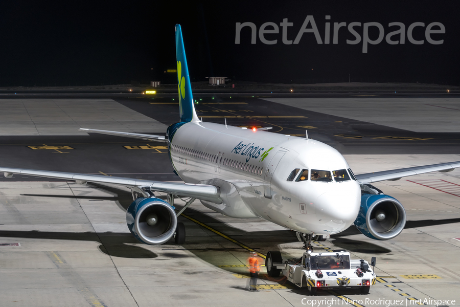 Aer Lingus Airbus A320-214 (EI-DVL) | Photo 375639