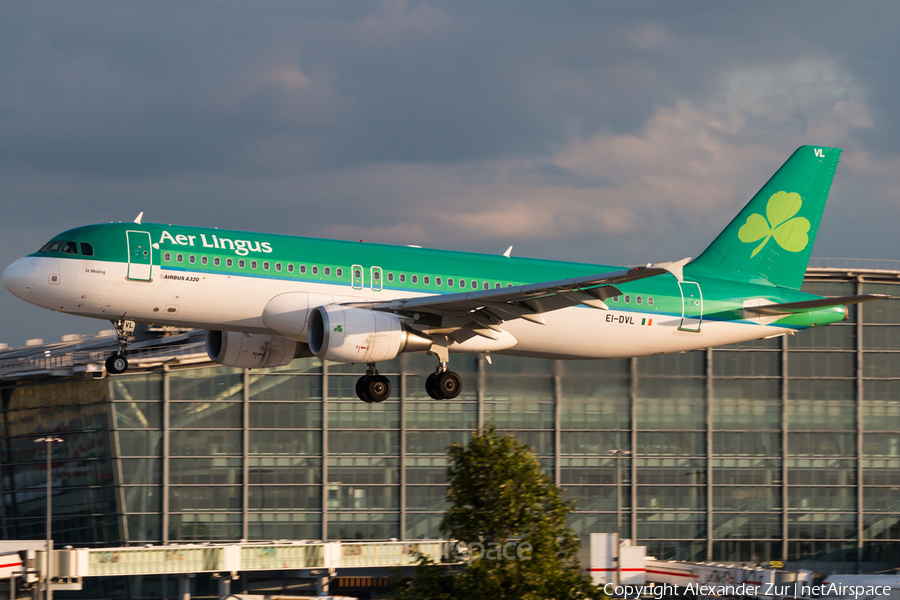 Aer Lingus Airbus A320-214 (EI-DVL) | Photo 176036