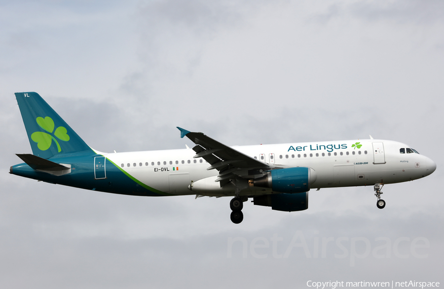 Aer Lingus Airbus A320-214 (EI-DVL) | Photo 306334