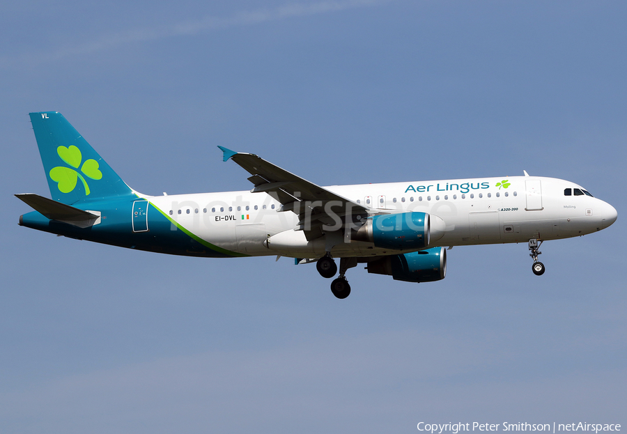 Aer Lingus Airbus A320-214 (EI-DVL) | Photo 313982
