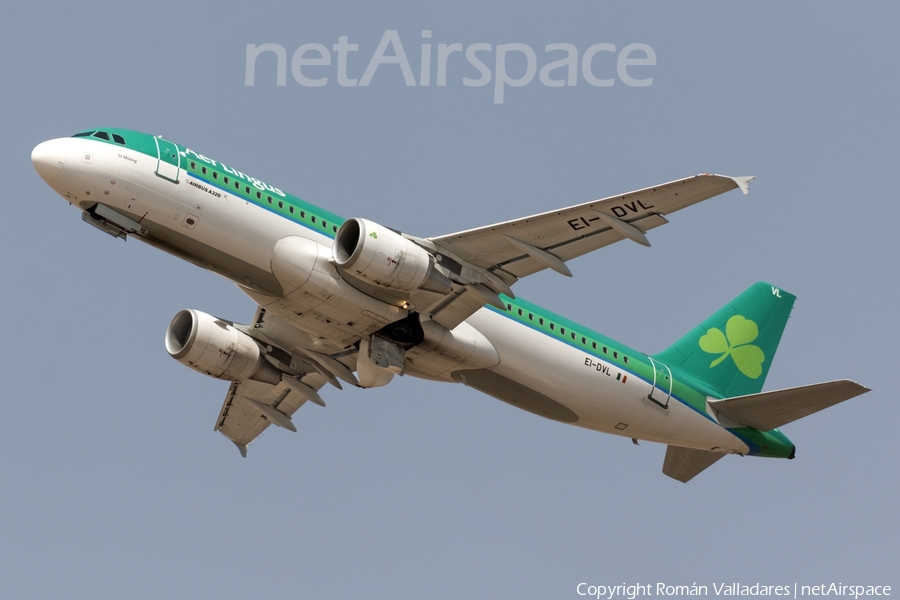 Aer Lingus Airbus A320-214 (EI-DVL) | Photo 335550