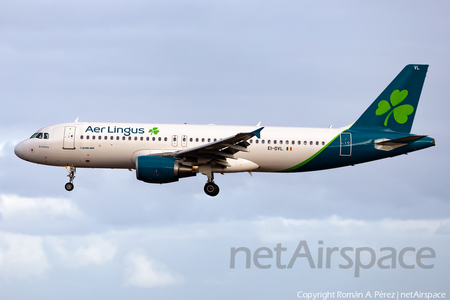 Aer Lingus Airbus A320-214 (EI-DVL) | Photo 359290