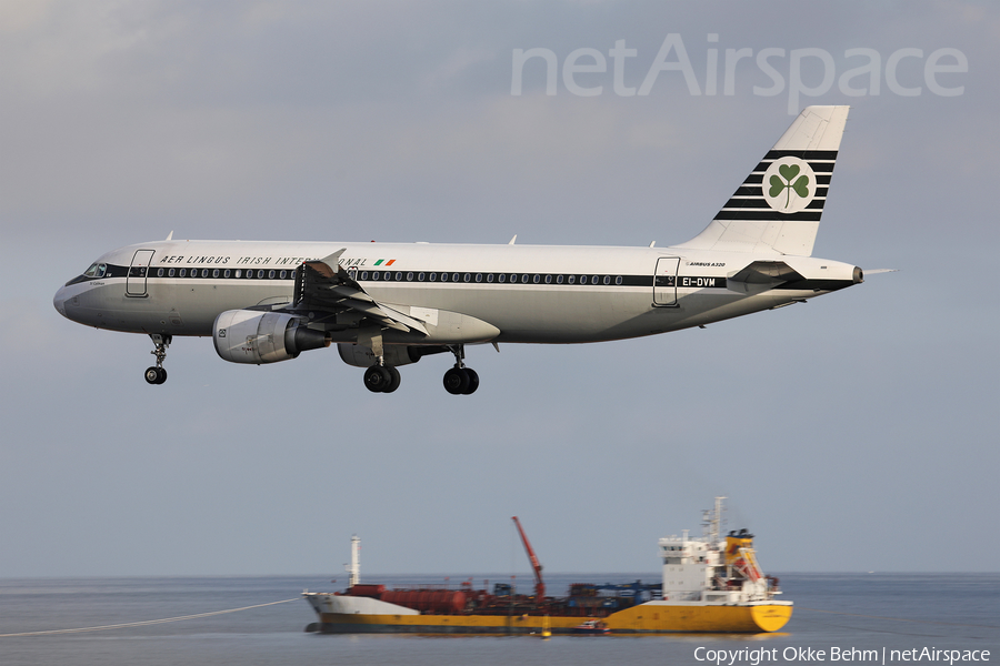 Aer Lingus Airbus A320-214 (EI-DVM) | Photo 364096