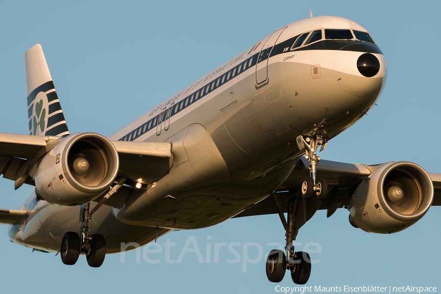 Aer Lingus Airbus A320-214 (EI-DVM) | Photo 112843