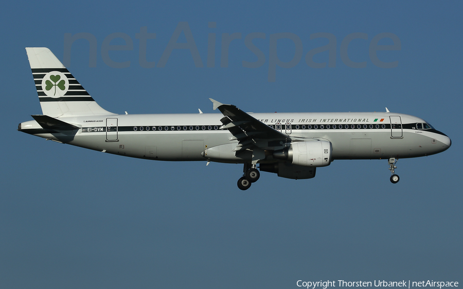 Aer Lingus Airbus A320-214 (EI-DVM) | Photo 202280