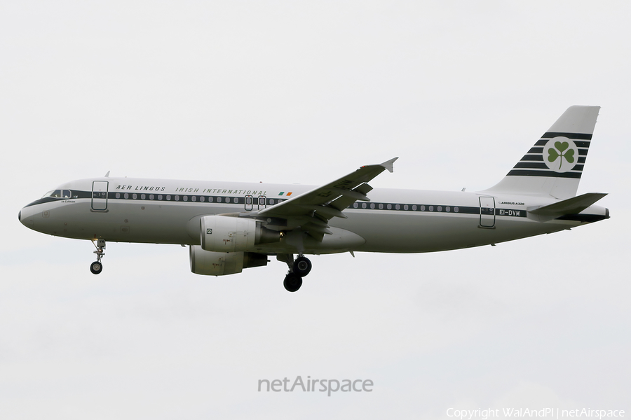 Aer Lingus Airbus A320-214 (EI-DVM) | Photo 521514