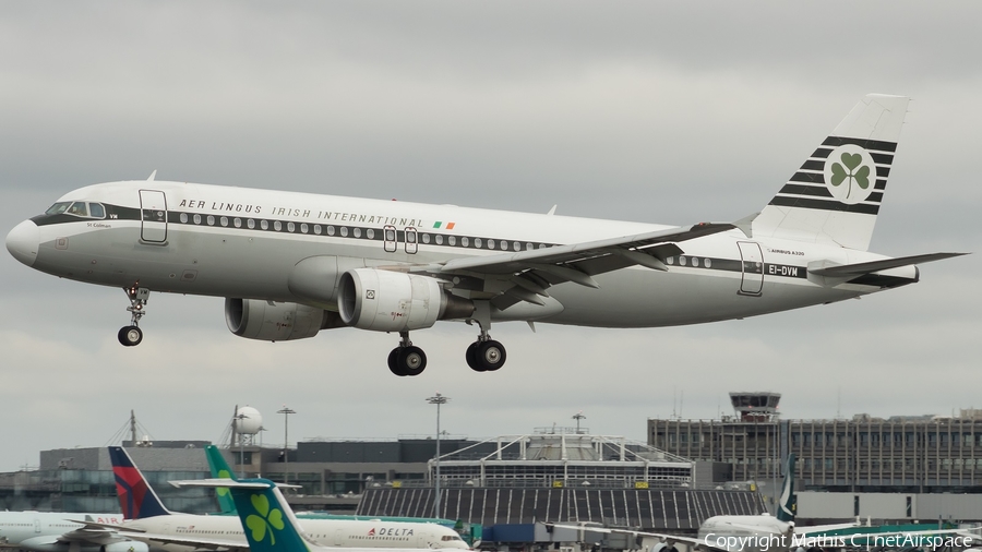 Aer Lingus Airbus A320-214 (EI-DVM) | Photo 382314