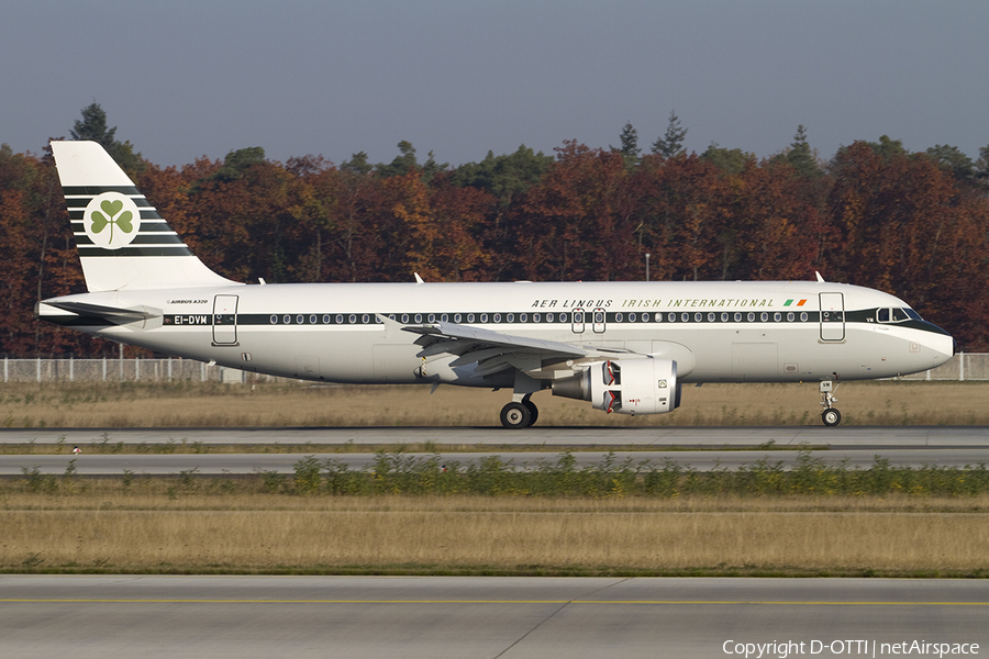 Aer Lingus Airbus A320-214 (EI-DVM) | Photo 395703