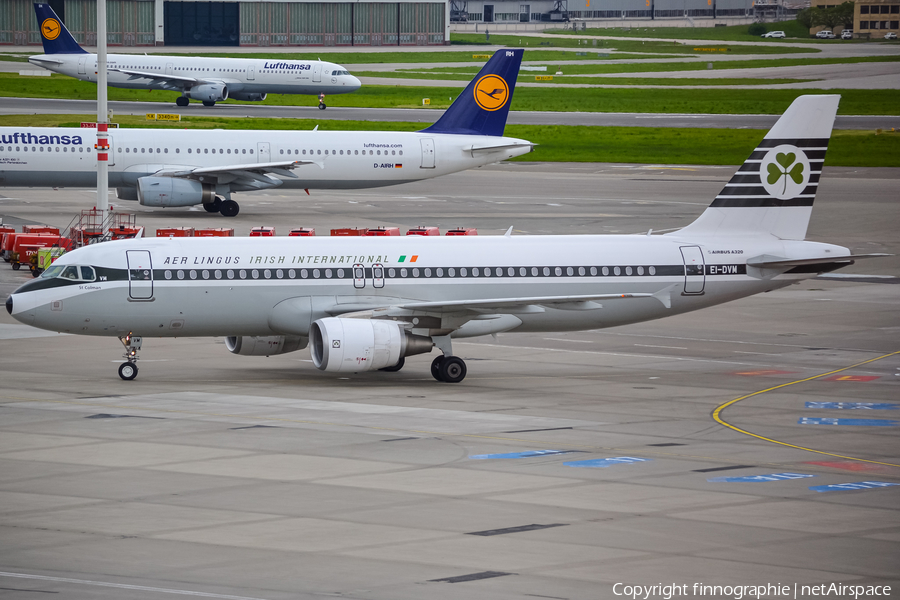 Aer Lingus Airbus A320-214 (EI-DVM) | Photo 447574