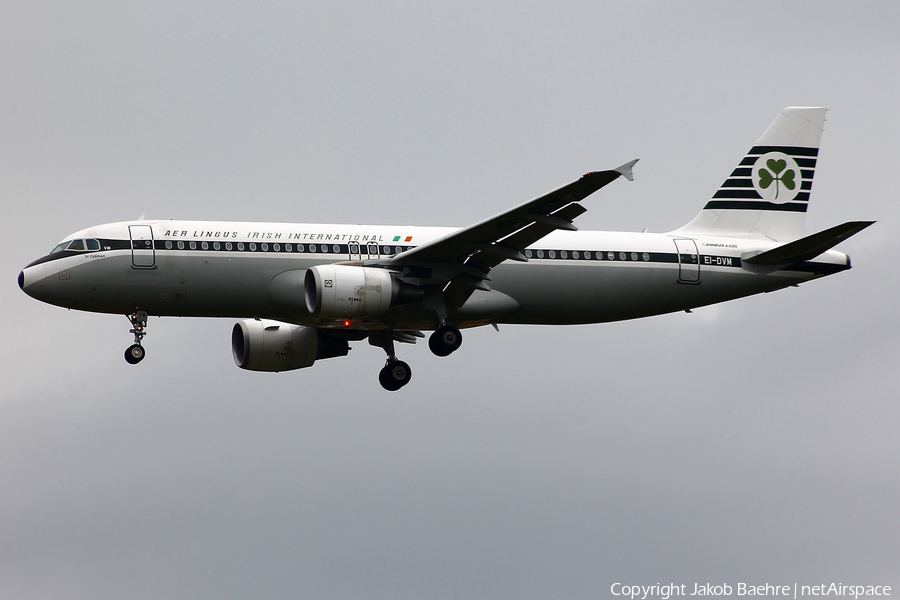 Aer Lingus Airbus A320-214 (EI-DVM) | Photo 183666