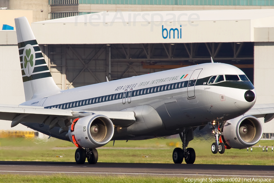 Aer Lingus Airbus A320-214 (EI-DVM) | Photo 24068