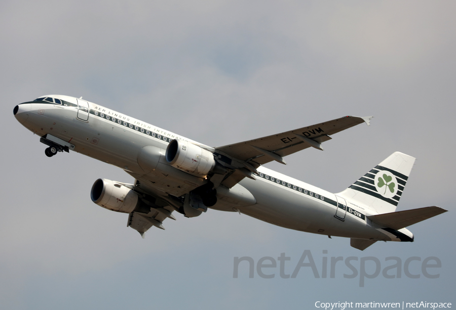 Aer Lingus Airbus A320-214 (EI-DVM) | Photo 253435