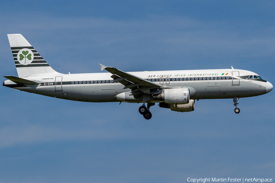 Aer Lingus Airbus A320-214 (EI-DVM) | Photo 345680
