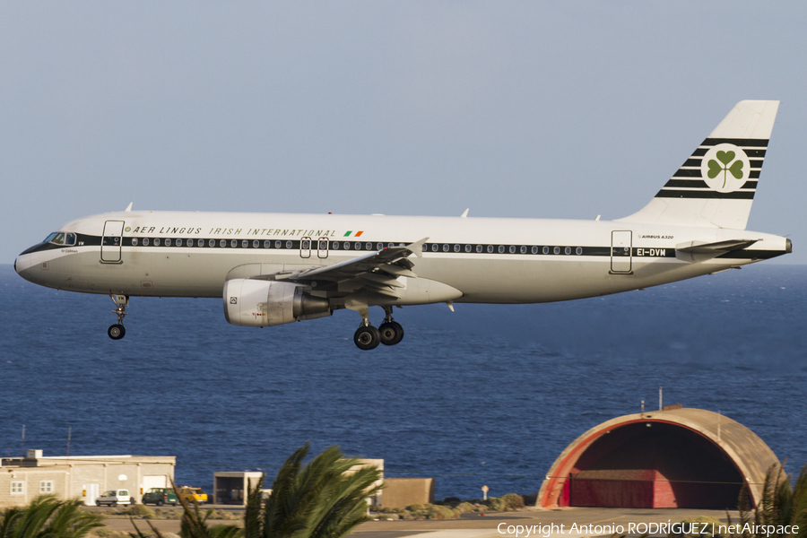 Aer Lingus Airbus A320-214 (EI-DVM) | Photo 130419