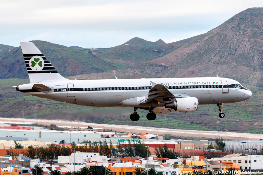 Aer Lingus Airbus A320-214 (EI-DVM) | Photo 133611