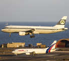 Aer Lingus Airbus A320-214 (EI-DVM) at  Gran Canaria, Spain