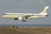 Aer Lingus Airbus A320-214 (EI-DVM) at  Gran Canaria, Spain