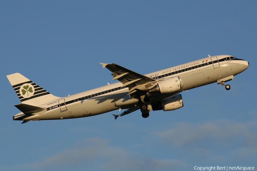 Aer Lingus Airbus A320-214 (EI-DVM) | Photo 54434