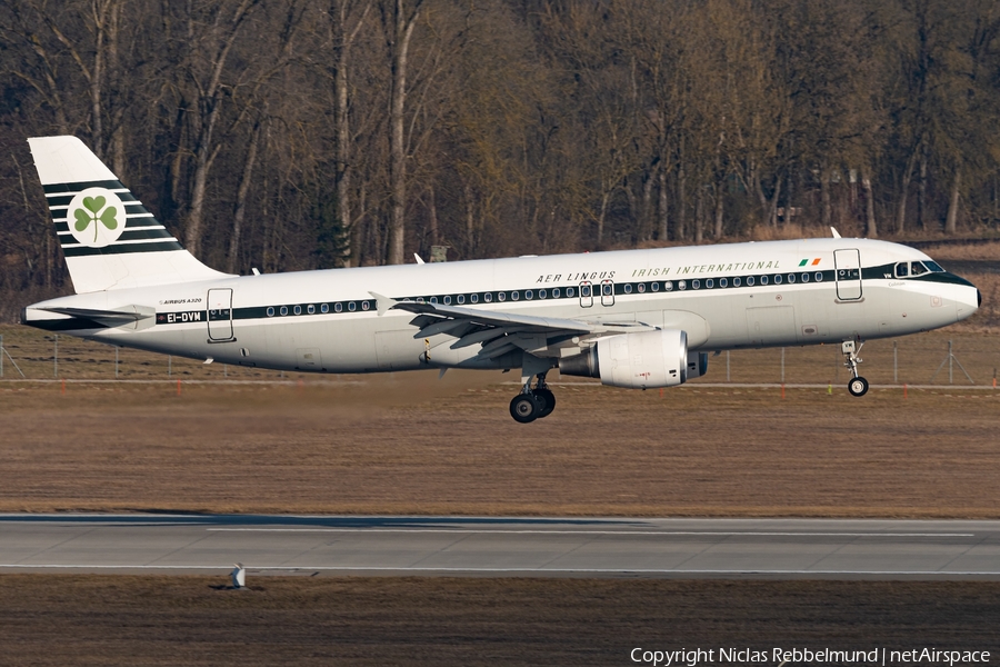 Aer Lingus Airbus A320-214 (EI-DVM) | Photo 665050