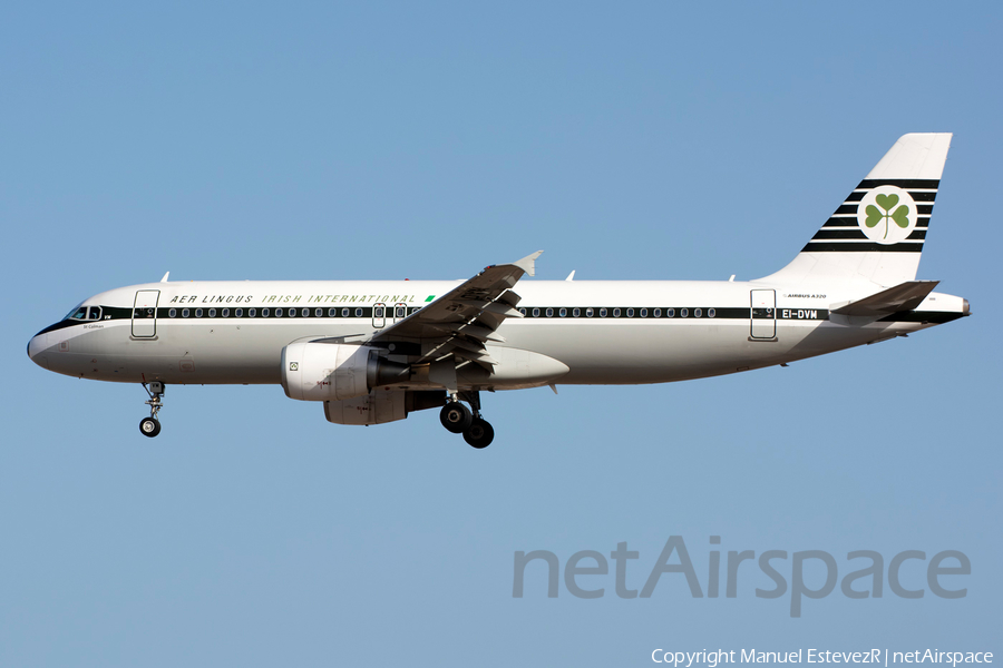 Aer Lingus Airbus A320-214 (EI-DVM) | Photo 247458