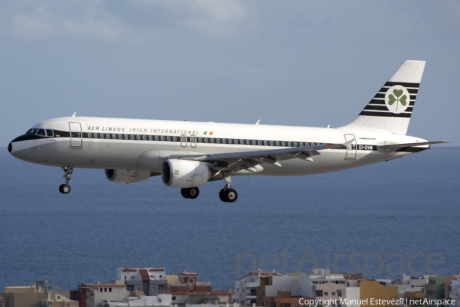 Aer Lingus Airbus A320-214 (EI-DVM) | Photo 282412