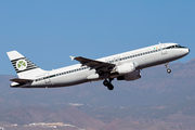 Aer Lingus Airbus A320-214 (EI-DVM) at  Tenerife Sur - Reina Sofia, Spain