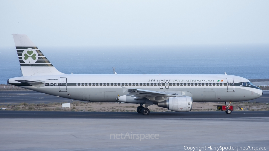 Aer Lingus Airbus A320-214 (EI-DVM) | Photo 330607
