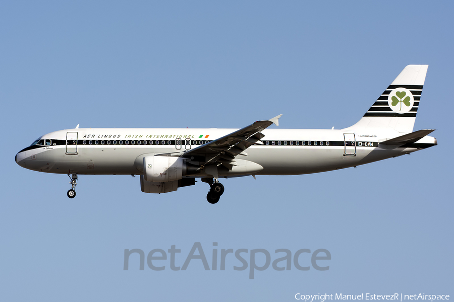 Aer Lingus Airbus A320-214 (EI-DVM) | Photo 385779